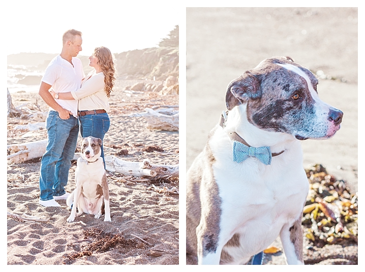 CAMBRIA ENGAGEMENT SESSION