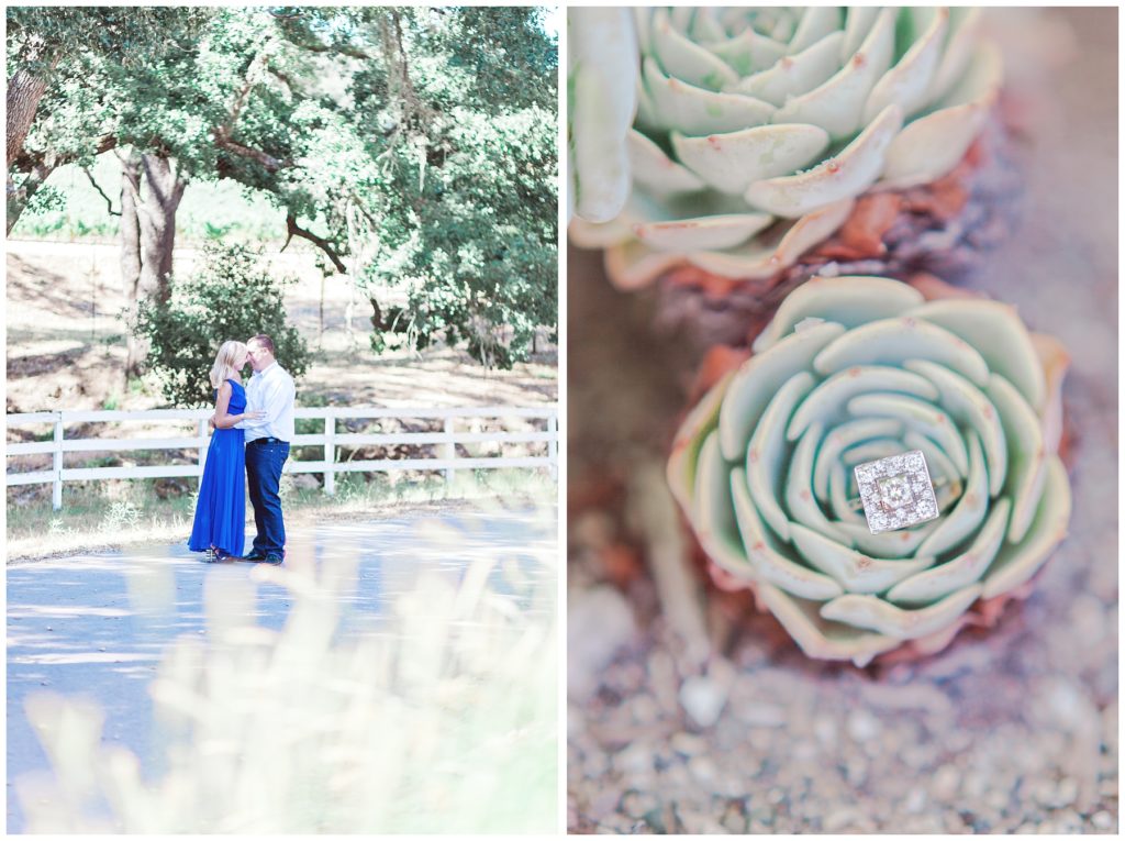 PASO ROBLES PHOTOGRAPHER