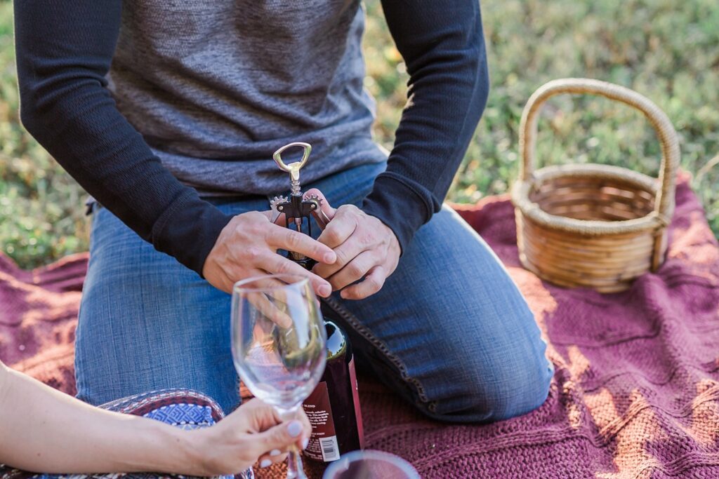 PICNIC ENGAGEMENT SESSION