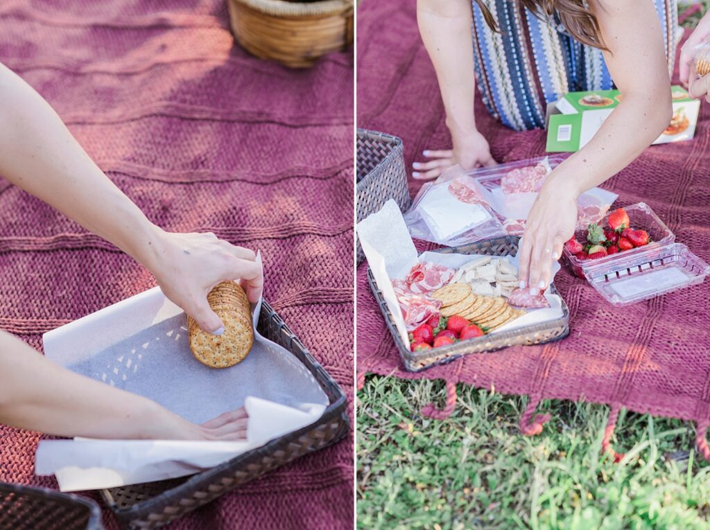 PICNIC ENGAGEMENT SESSION