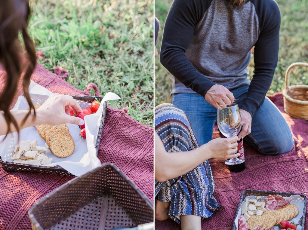 PICNIC ENGAGEMENT SESSION