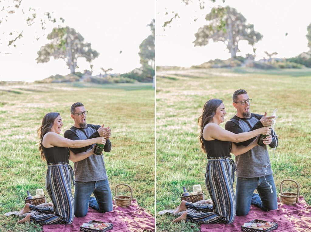 PICNIC ENGAGEMENT SESSION