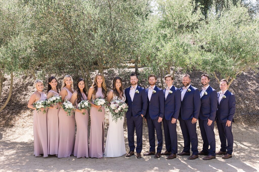 TERRA MIA VINEYARDS WEDDING