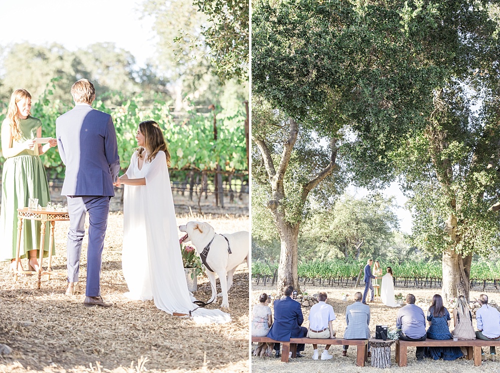 CALIFORNIA ELOPEMENT