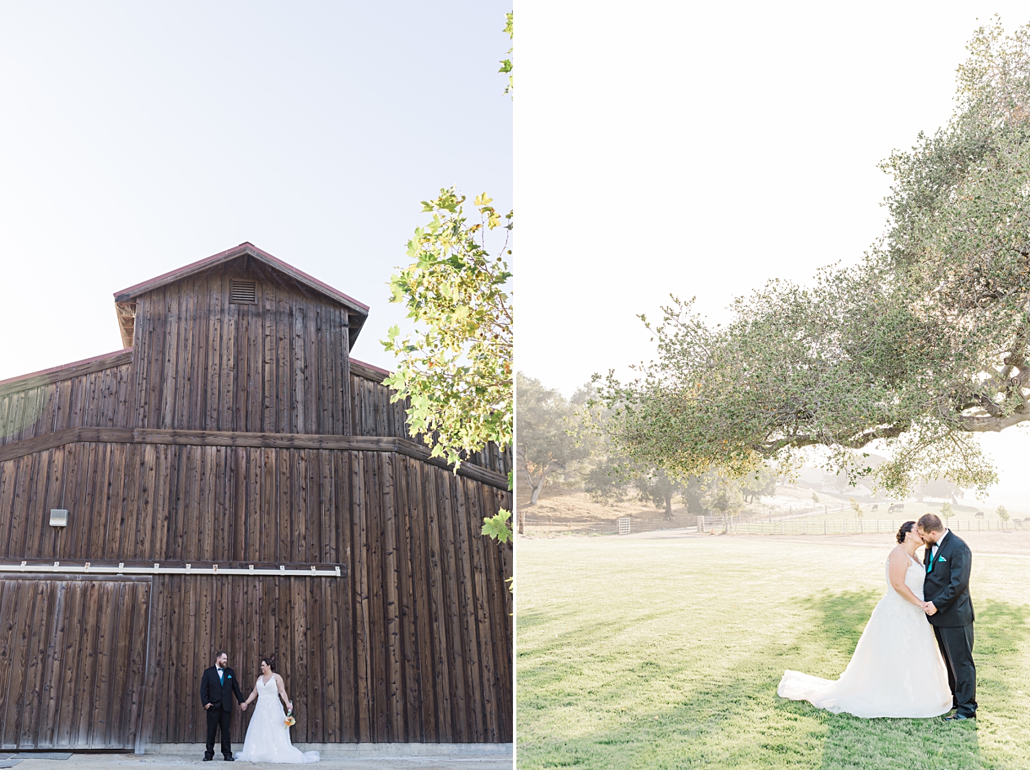 paso robles photographer