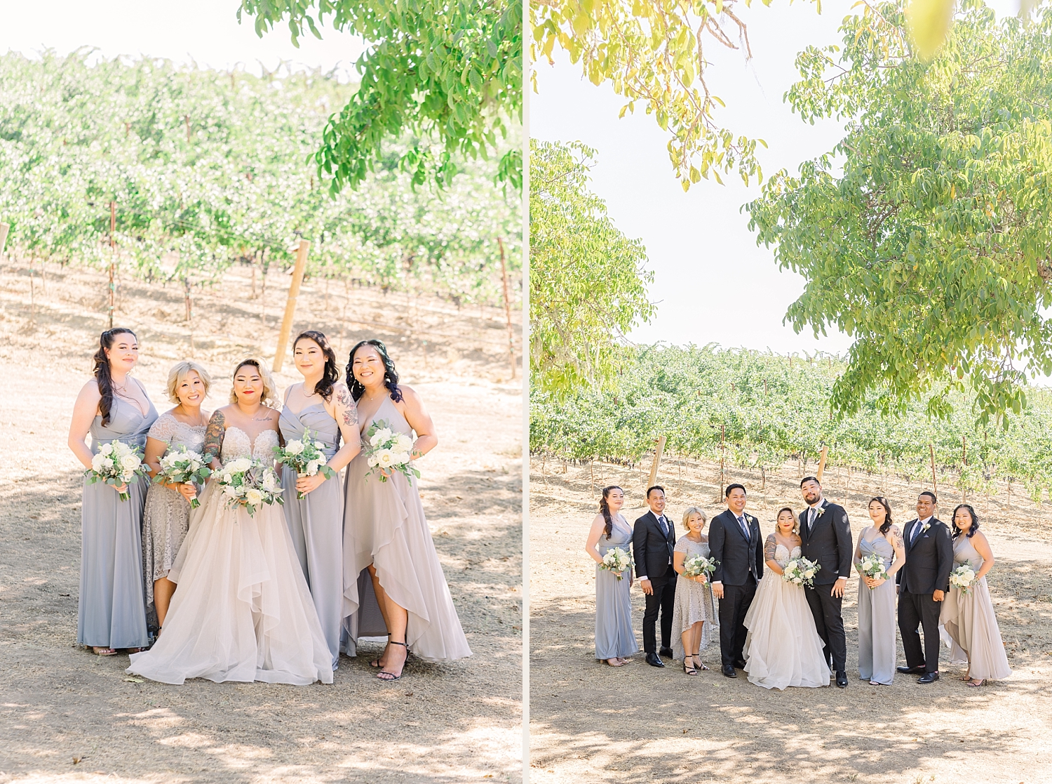 OPOLO VINEYARDS WEDDING