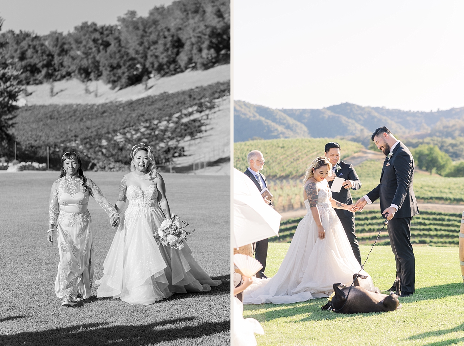 OPOLO VINEYARDS WEDDING