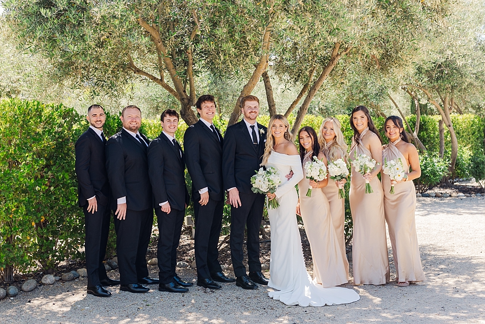 allegretto vineyards wedding